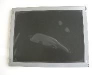 TM057KDH01-00 TIANMA 5.7 นิ้ว 320 (RGB) × 240 400cd / m²จอ LCD อุตสาหกรรม