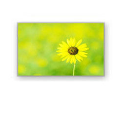 4.0&quot; 320×240 4700cd/M2 จอ LCD อุตสาหกรรม HSD040I3N1-B00 HannStar